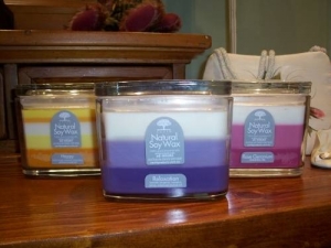 Double wick soy wax candle - christmas blend